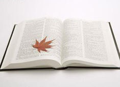 搬砖爆款游戏：掌握核心技巧让你轻松上分，躺赢不是梦！